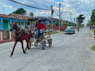 Horse-powered Taxi in Viñales