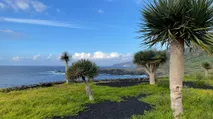 Tenerife Island: Hikers' Paradise