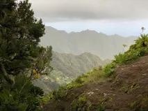 Best Hikes in Rural de Anaga Park, Tenerife