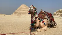 Egypt - Travelfoss
