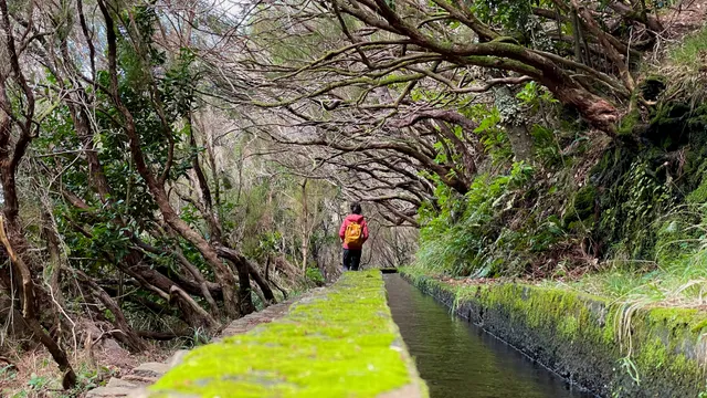 PR6 - Levada das 25 Fontes Hike in Madeira, Portugal