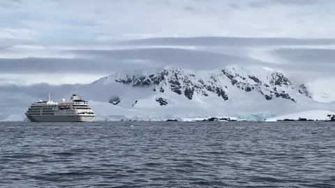 How To Choose Your Cruising Company To Antarctica